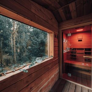 Wooden Nest